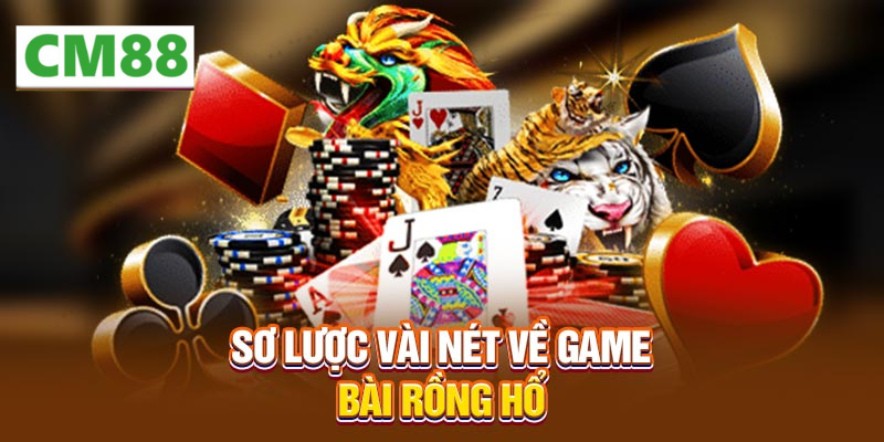 Tổng quan về Cách chơi Rồng Hổ